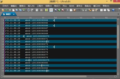 UltraEdit編輯器Windows版 專業(yè)數(shù)據(jù)處理與編程利器